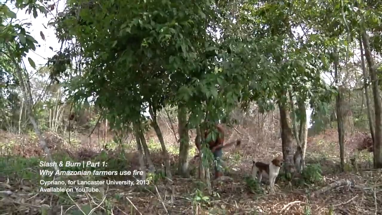 The Amazon As A Garden, a video by Juancarlos Valero
