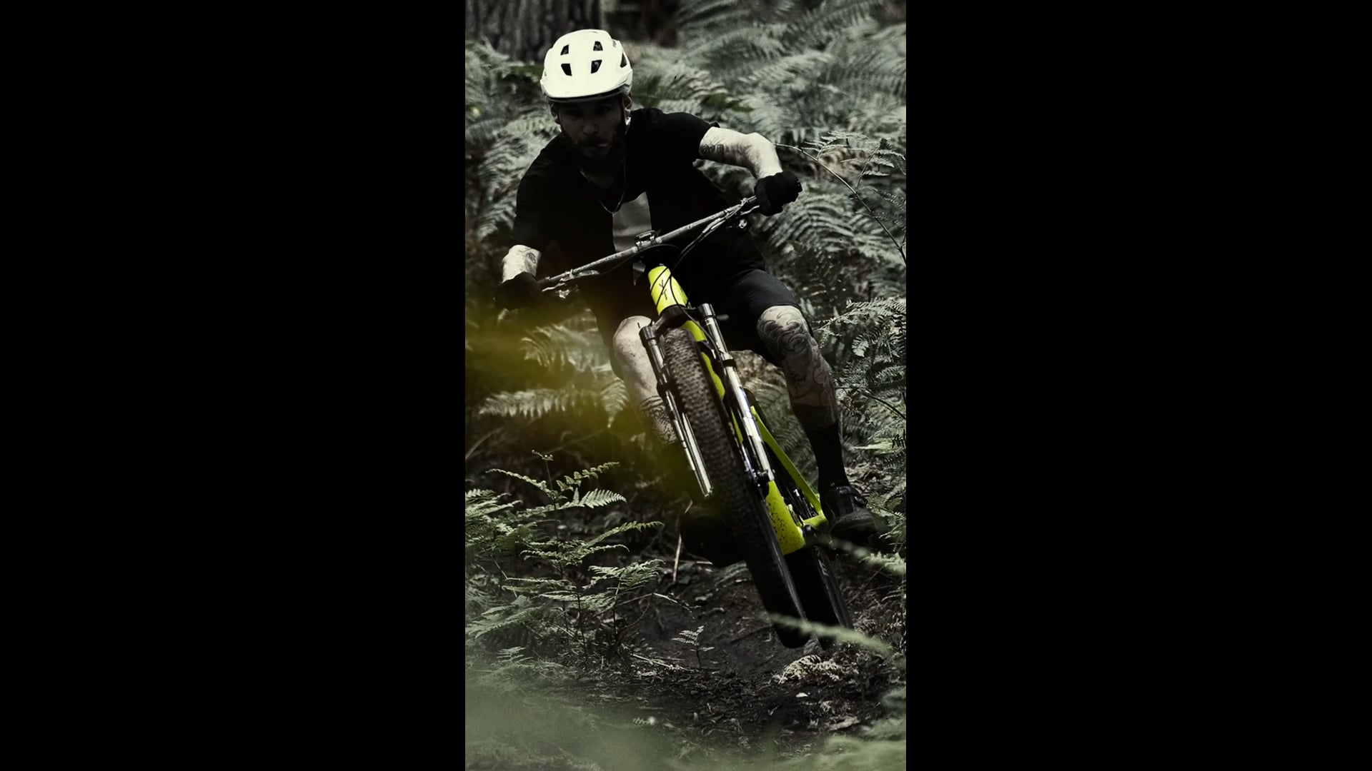 YT INDUSTRIES USA CLOSING AFTER FAILING TO REACH AGREEMENT WITH YT visual data 6