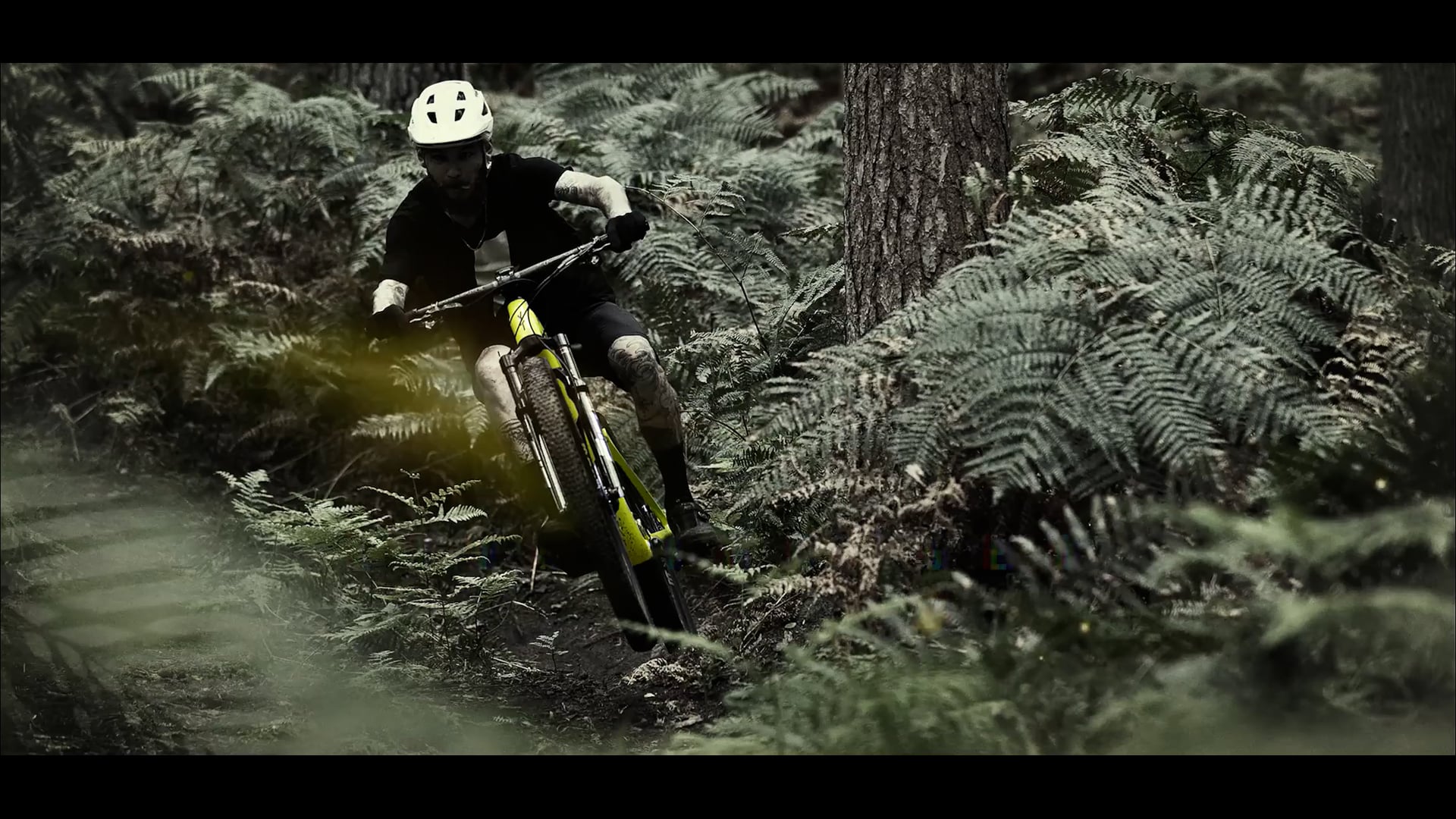 YT INDUSTRIES USA CLOSING AFTER FAILING TO REACH AGREEMENT WITH YT visual data 4