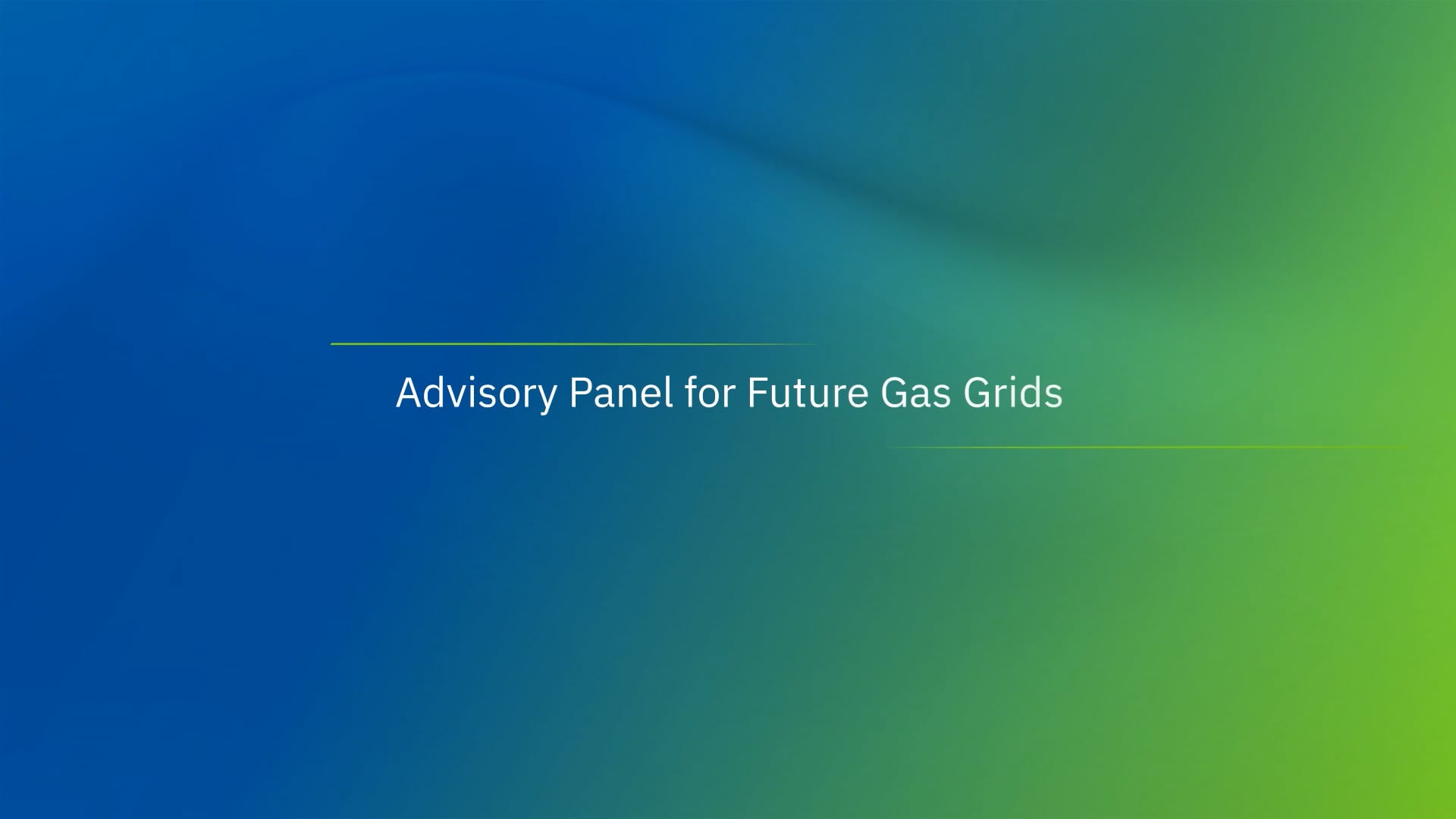 Advisory Panel for Future Gas Grids
