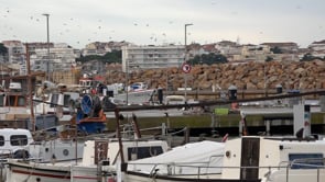 Naufraga una de les cinc teranyines de l'Escala