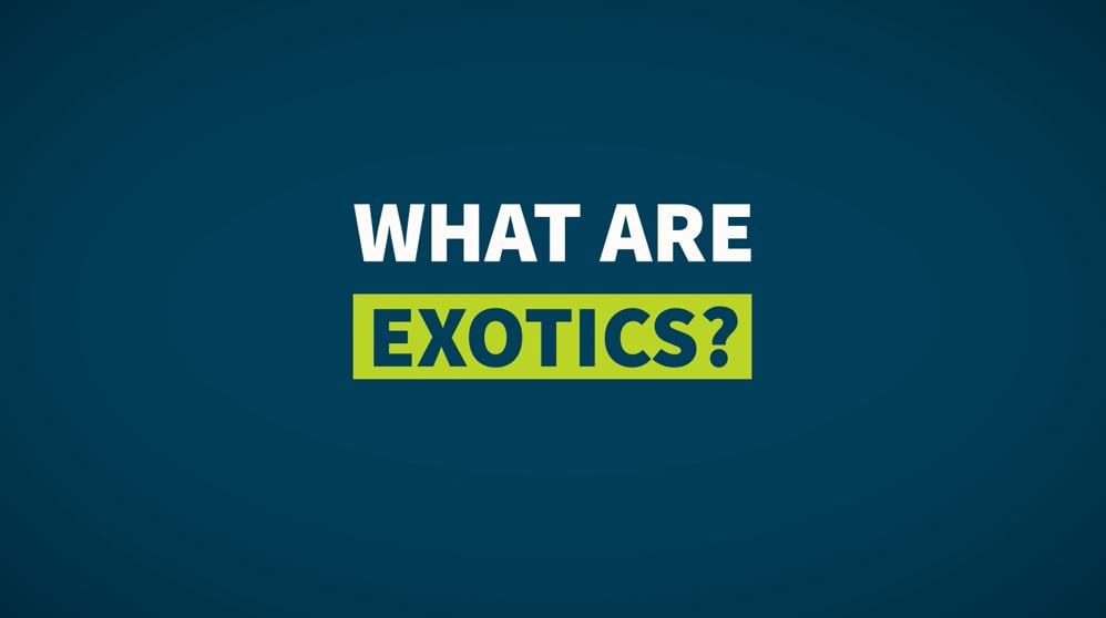FXTM Forex Basics - 08 What are Exotics?