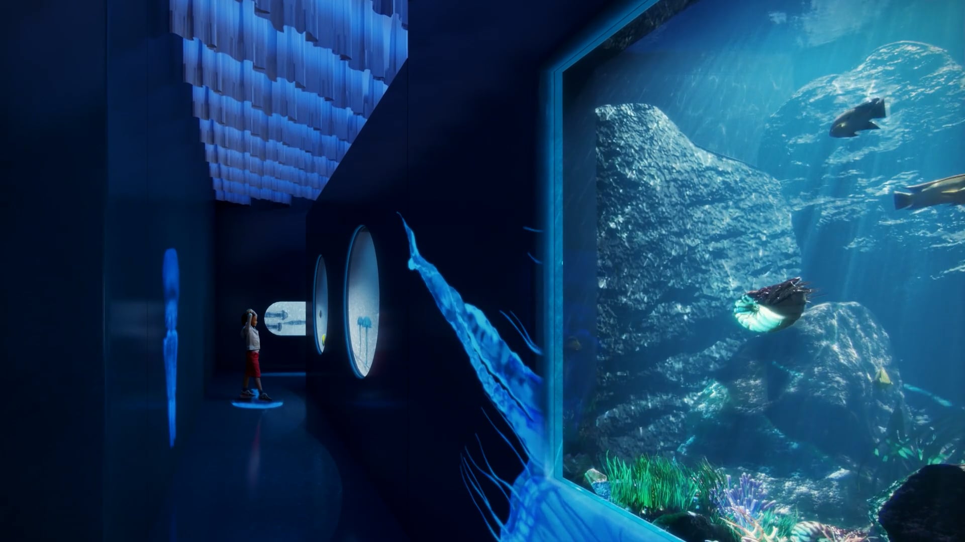 KALYPSO - Aquarium de Baysan