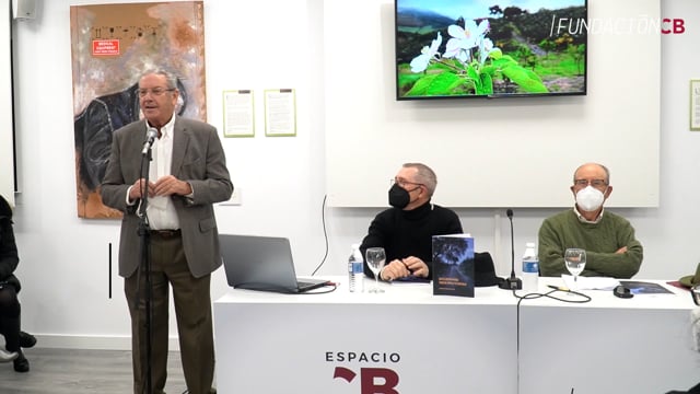 Reflexiones Taci(noc)turnas - Antonio Castro