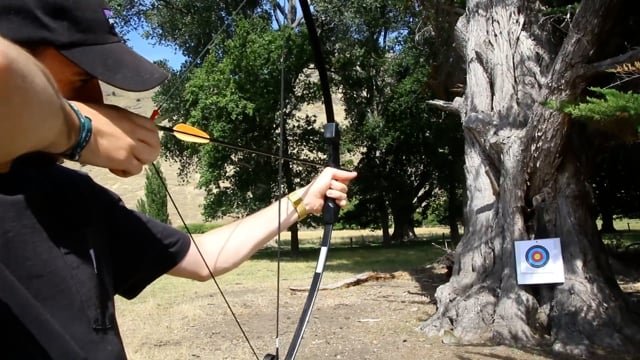 Ek Chameleon Youth Compound Bow Target Set NZ - Bows by Gun City