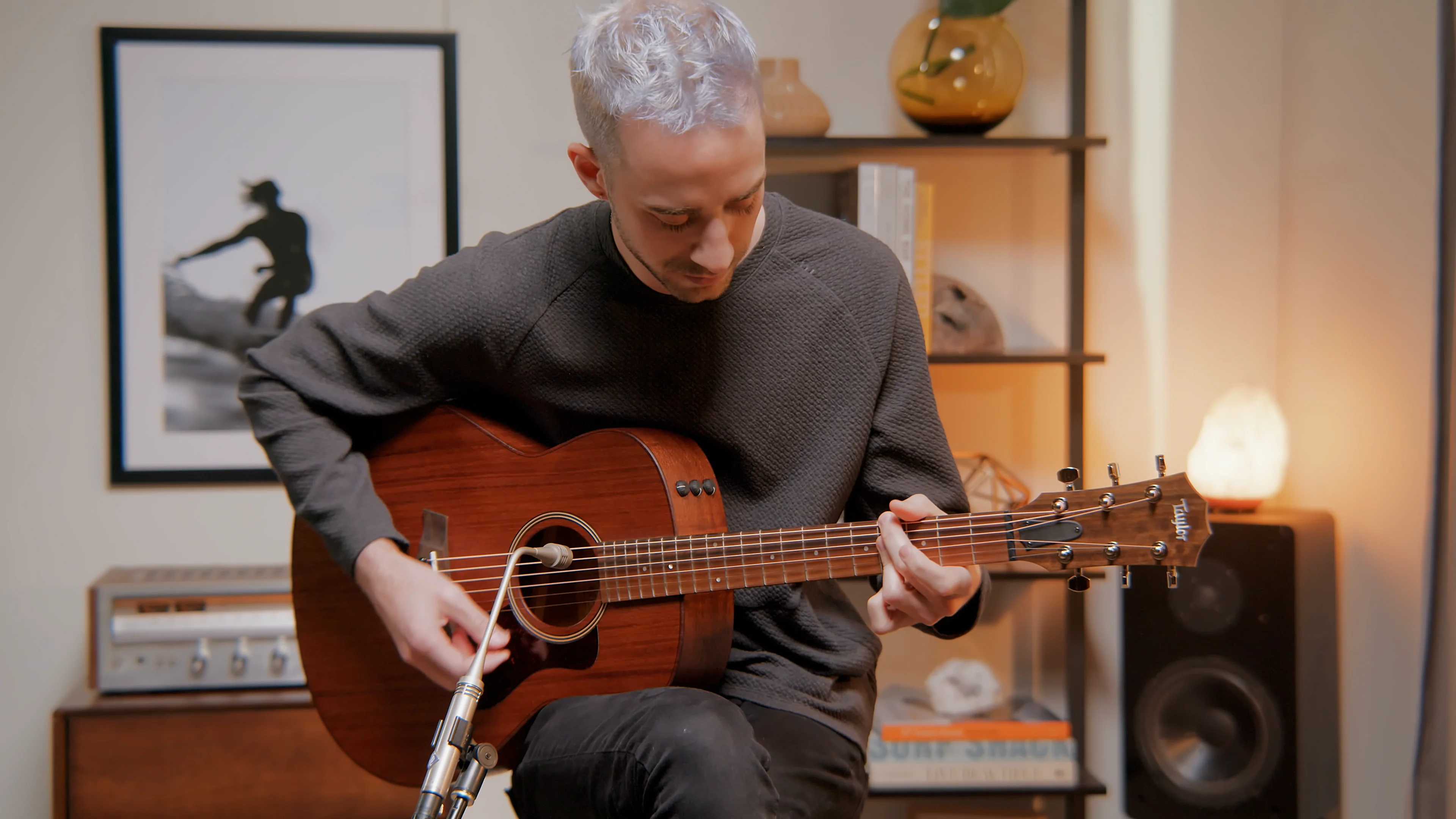 Taylor ギター Taylor Guitars
