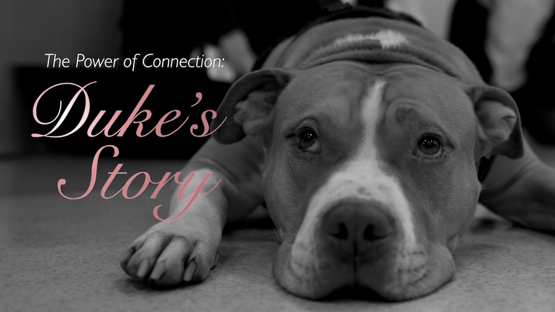 The Power of Connection: Duke's Story