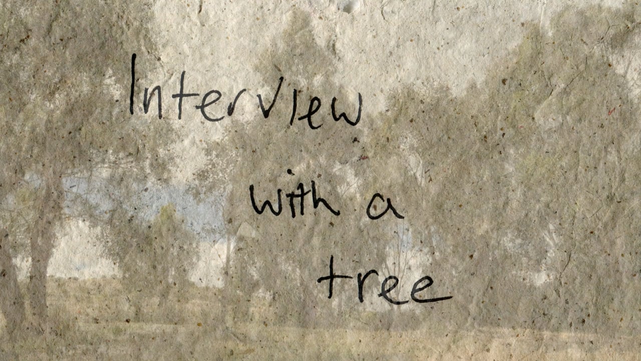 Interview With A Tree, a video by Catherine Gough-Brady