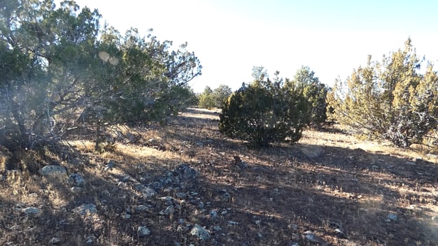 1 acres in Apache County, Arizona