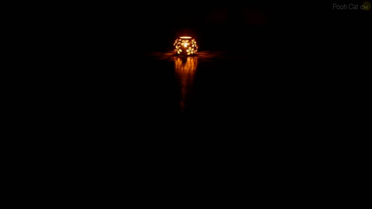 In Memoriam of Prof. Hisashi HIRAMATSU（Orange Light ＆ the Trio from Chopin's 2nd Sonata）／ 追悼・平松