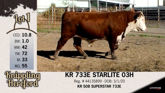 Lot #1 - KR 733E STARLITE 03H