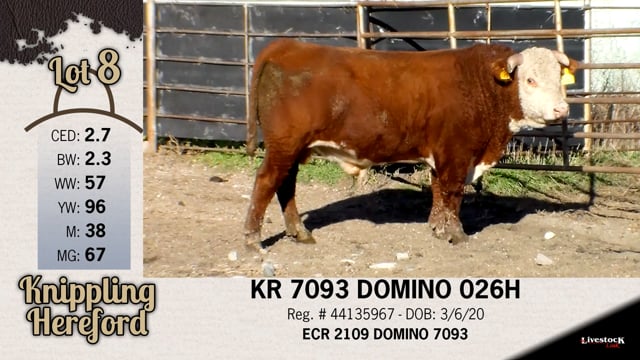 Lot #8 - KR 7093 DOMINO 026H