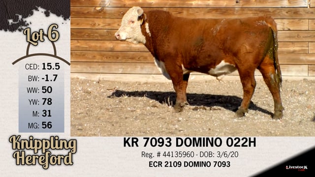 Lot #6 - KR 7093 022H