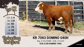 Lot #12 - KR 7093 DOMINO 040H