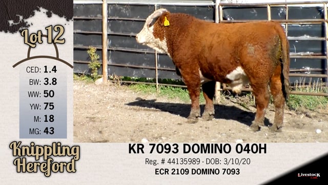 Lot #12 - KR 7093 DOMINO 040H