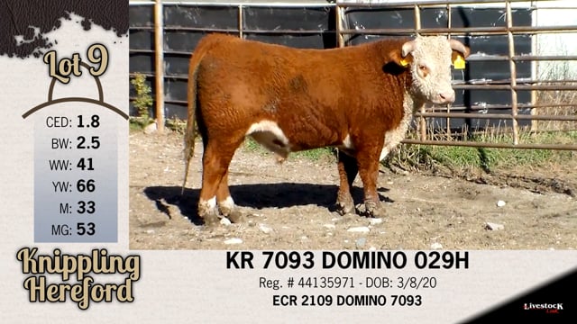 Lot #9 - KR 7093 DOMINO 029H