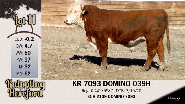 Lot #11 - KR 7093 DOMINO 039H
