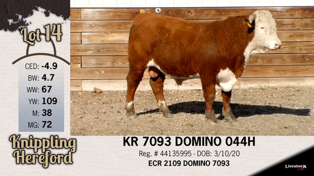 Lot #14 - KR 7093 DOMINO 044H