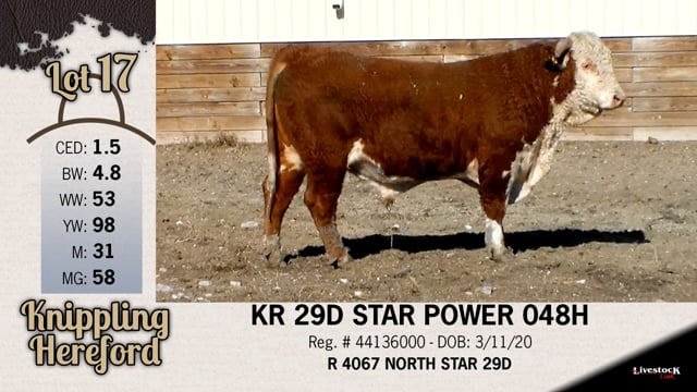 Lot #17 - KR 29D STAR POWER 048H