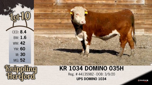 Lot #10 - KR 1034 DOMINO 035H