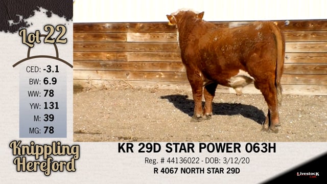 Lot #22 - KR 29D STAR POWER 063H