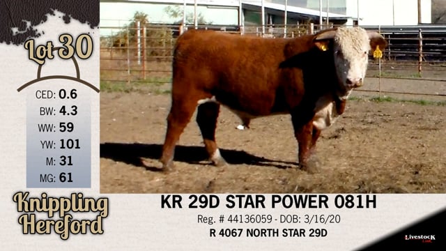 Lot #30 - KR 29D STAR POWER 081H