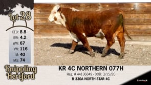 Lot #28 - KR 4C NORTHERN 077H