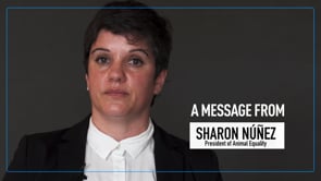Sharon Núñez, President of Animal Equality, on the Undercover Investigation into Foster Farms Hatchery