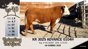 Lot #40 - KR 3025 ADVANCE 0104H