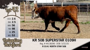 Lot #42 - KR 50B SUPERSTAR 0109H