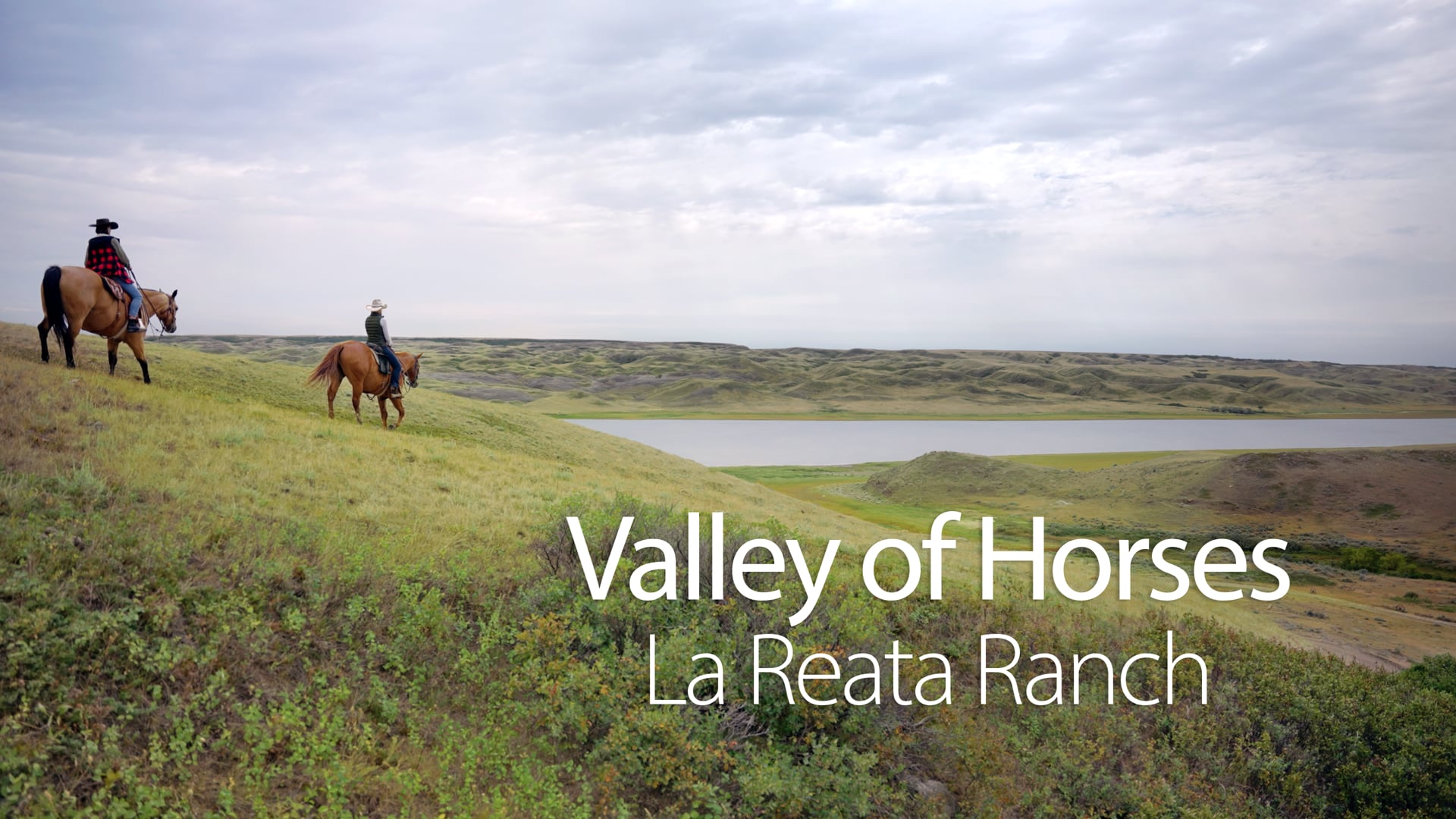 Valley of Horses - La Reata Ranch