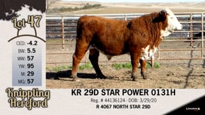 Lot #47 - KR 29D STAR POWER 0131H