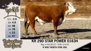 Lot #56 - KR 29D STAR POWER 0163H