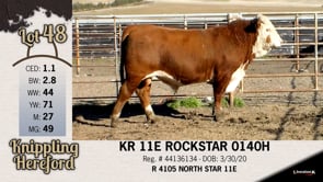 Lot #48 - KR 11E ROCKSTAR 0140H