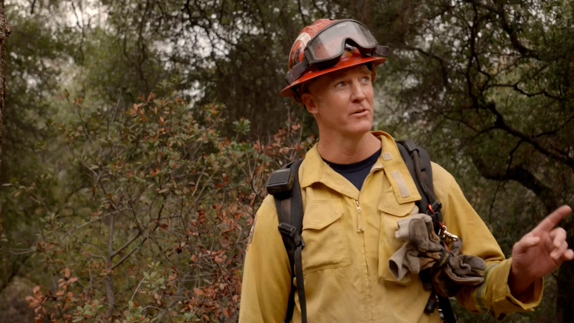 Fighting Wildfires Video Segments Fighting Wildfires Briefing Mp4