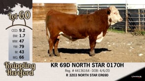 Lot #60 - KR 69D NORTH STAR 0170H