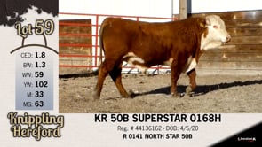 Lot #59 - KR 50B SUPERSTAR 0168H