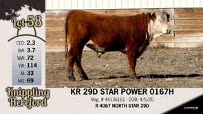 Lot #58 - KR 29D STAR POWER 0167H