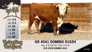 Lot #55 - KR 4041 DOMINO 0162H