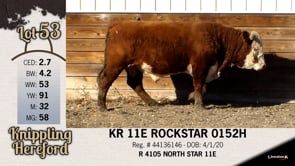 Lot #53 - KR 113 ROCKSTAR 0152H
