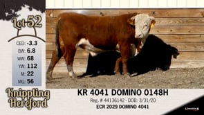Lot #52 - KR 4041 DOMINO 0148H