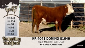 Lot #57 - KR 4041 DOMINO 0164H