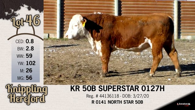 Lot #46 - KR 50B SUPERSTAR 0127H