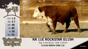 Lot #43 - KR 11E ROCKSTAR 0115H