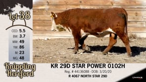 Lot #38 - KR 29D STAR POWER 0102H