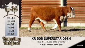 Lot #36 - KR 50B SUPERSTAR 098H