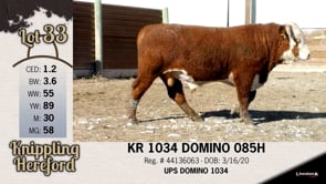 Lot #33 - KR 1034 DOMINO 085H