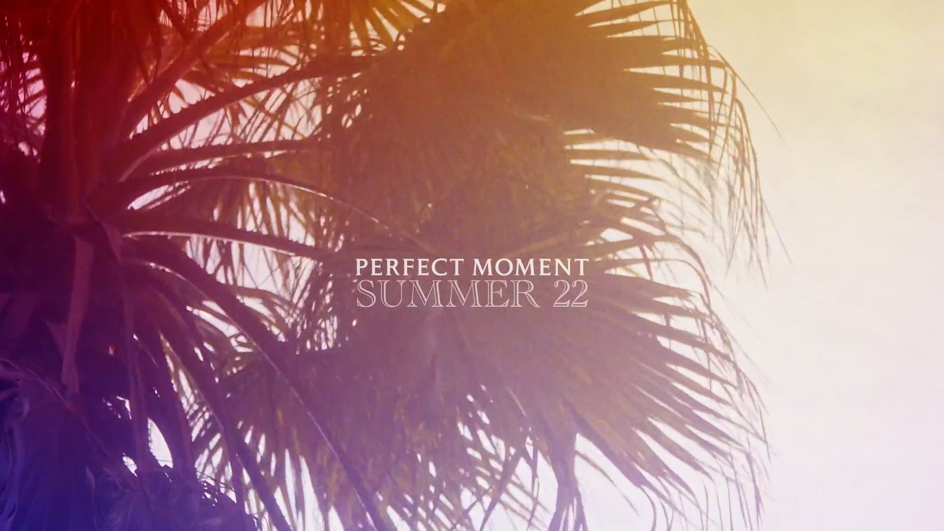 PERFECT MOMENT - SUMMER 22