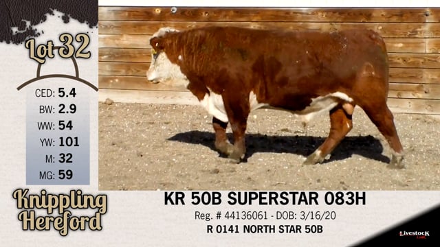 Lot #32 - KR 50B SUPERSTAR 083H
