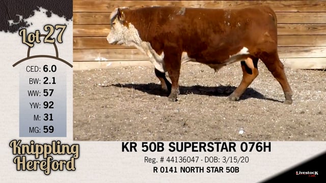 Lot #27 - KR 50B SUPERSTAR 076H